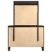 carlton-dresser-with-mirror