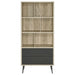maeve-bookcase