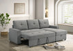 giorgi-sectional-w-pullout-1