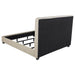 chloe-panel-bed