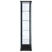 delphinium-curio-cabinet
