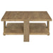 dawn-square-engineered-wood-coffee-table-with-shelf-mango
