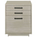loomis-file-cabinet