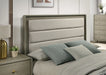 rainier-eking-bed