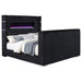 tisdall-wingback-tv-bed-with-flame-visualizer