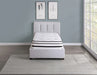 mt-ph12t-12-twin-hybrid-mattress