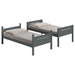 littleton-bunk-bed