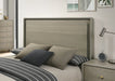 rainier-eking-bed