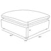 raleigh-ottoman