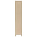 eliam-bookcase