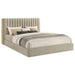 arielle-bookcase-bed