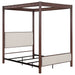zimmerlee-canopy-panel-bed