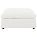 raleigh-ottoman