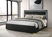 marceline-panel-bed-with-led-lighting