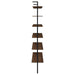 owens-96-inch-4-shelf-storage-wall-bookshelf-walnut