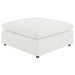 raleigh-ottoman