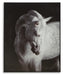 archerwick-wall-art
