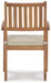 janiyah-outdoor-dining-arm-chair-set-of-2