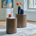 cammund-accent-table-set-of-2