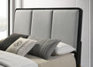 arini-upholstered-panel-bed