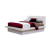 jessica-contemporary-california-king-eking-queen-bed-capiccino-white