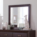 fenbrook-dark-cocoa-rectangular-dresser-mirror