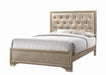 beaumont-transitional-champagne-queen-bed