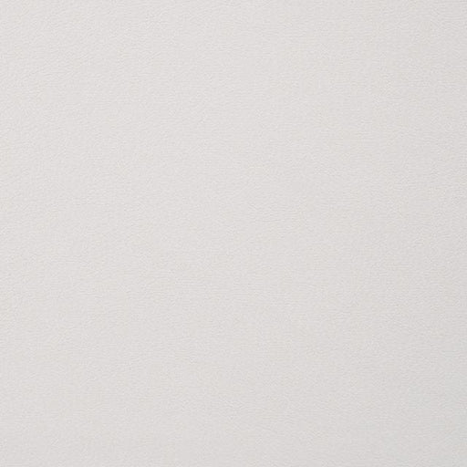 alisha-side-chair-2ctn