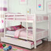cameron-dark-walnut-white-gray-fullfull-bunk-bed