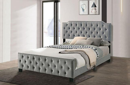charlize-bed-grey-navy