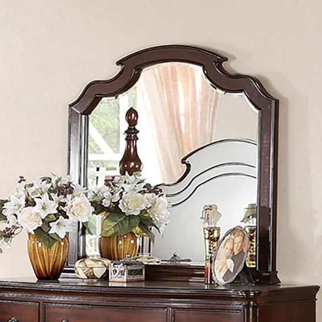 Devonshire Mirror