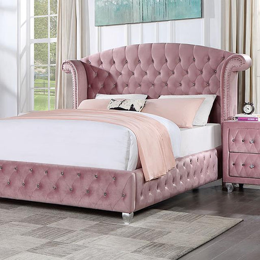 zohar-queen-bed-pink