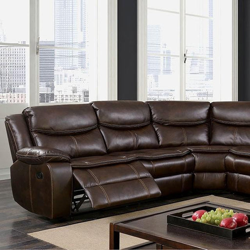 pollux-brown-sectional