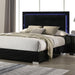 sinistra-e-king-queen-bed-black-white-beige