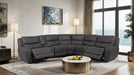 demetrius-power-sectional