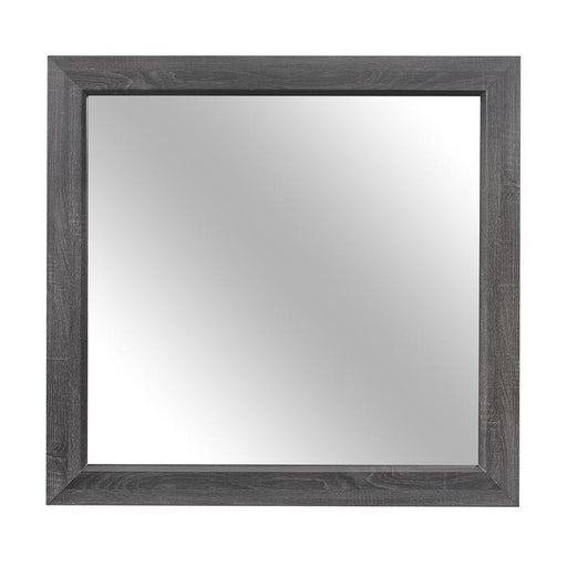 homelegannce-beechnut-mirror-in-gray-1904gy-6