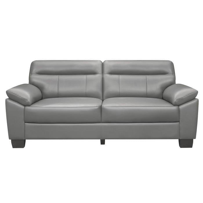 Denizen Sofa in Gray 9537GRY-3 image