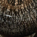 tenslow-lamp-package