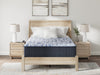 firm-luxe-2-0-mattress