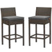 conduit-bar-stool-outdoor-patio-wicker-rattan-set-of-2