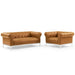 idyll-tufted-upholstered-leather-loveseat-and-armchair