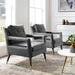 premise-armchair-performance-velvet-set-of-2