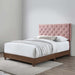 rhiannon-diamond-tufted-upholstered-performance-velvet-queen-bed