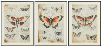 jossletts-wall-art-set-of-3