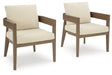 serene-bay-outdoor-dining-arm-chair-with-cushion-set-of-2