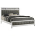 barzini-panel-bed