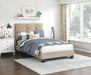 newberry-bed
