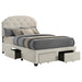 marianna-panel-platform-storage-bed