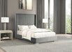 cadwell-bed-gy