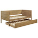 calinda-daybed-with-trundle